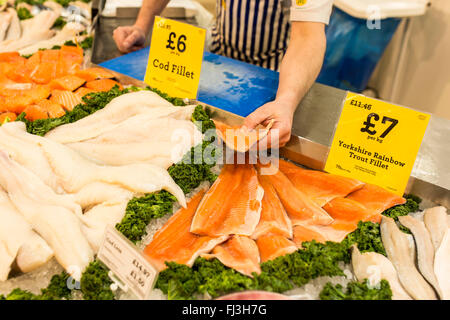 fish on sale in a Morrisons supermarket Stock Photo