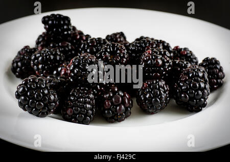 Fresh Blackberries on a white plate Stock Photo
