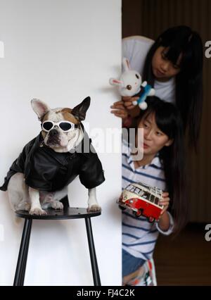 Beijing, China. 29th February, 2016. Young makers Zong Wenqi (lower) and Ni Jianling make preparation ahead of a pet dog photography project at their studio in Nantong, east China's Jiangsu Province, Sept. 22, 2015. By encouraging mass entrepreneurship and innovation, China saw a record startup boom in 2015 as a total of 4.44 million companies were established, up 21.6 percent from a year ago. More than 80 percent of the new firms were in tertiary industries. Stock Photo