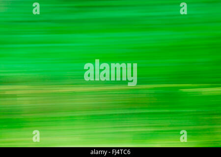 Abstract Natural Green Motions Blur Background. Stock Photo