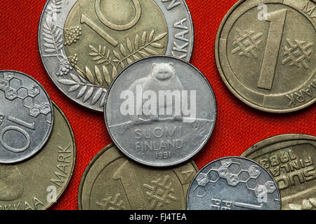 Coins of Finland. Brown bear (Ursus arctos) depicted in the Finnish 50 penni coin (1991). Stock Photo