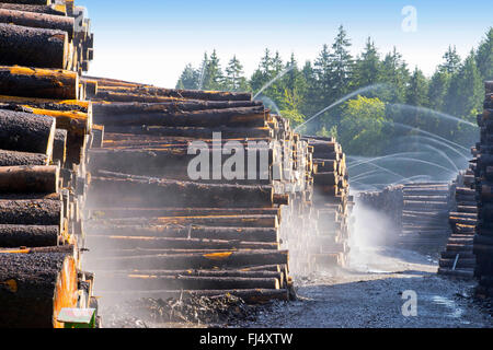 wet storage for logs, Germany, Bavaria, Oberbayern, Upper Bavaria, Ammergebirge Stock Photo