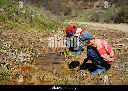 common frog, grass frog (Rana temporaria), two children play with spawn of frogs in a puddle, Romania, Karpaten Stock Photo