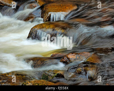 running water in rocky creek, Germany, Saxony, Erz Mountains, Schwarzwassertal Stock Photo