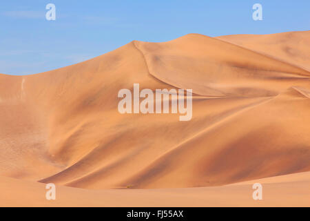 yellow-brown ore-bearing shifting sand dune near Swakopmund and blue sky, Namibia, Dorob National Park, Swakopmund