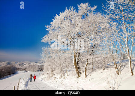 two wanderer on path in snowy landscape of Wildewiese, Germany, North Rhine-Westphalia, Sauerland, Sundern Stock Photo