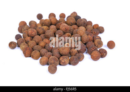 allspice, pimento (Pimenta dioica), dried fruits, allspice corns Stock Photo