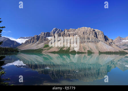 Bow Lake, the Bow summit is reflected in the lake, Canada, Alberta, Banff National Park Stock Photo