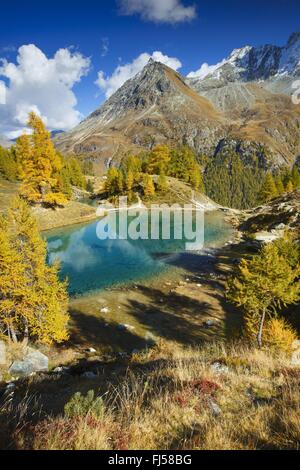 Lac Bleu, Grande Dent de Veisivi, Dent de Perroc, Aiguille de la Tsa, Switzerland, Valais Stock Photo