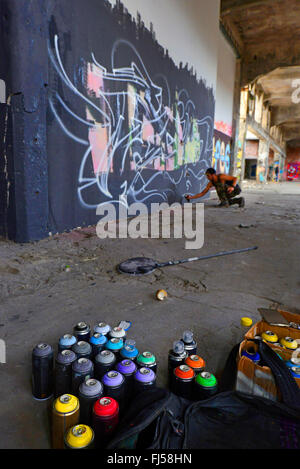 man spraying graffiti at a wall in an abandonend industrial ground, Germany, North Rhine-Westphalia, Duesseldorf Stock Photo