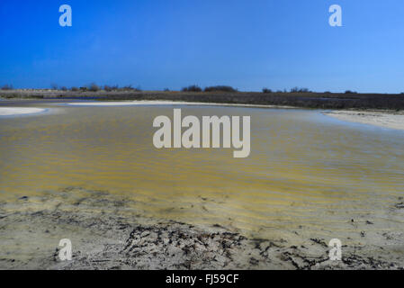 shallow water pond after a flood in the dunes of Danube delta, Romania, Dobrudscha, Biosphaerenreservat Donaudelta, SfÔntu Gheorgh Stock Photo