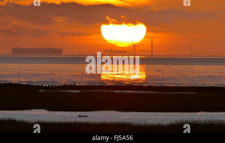 wadden sea near Spieka Neufeld at sunset, car ferry on the Weser, Germany, Lower Saxony, Spieka Neufeld Stock Photo