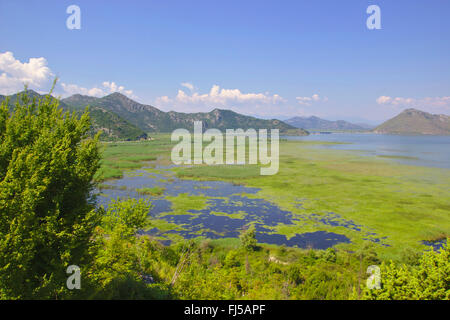 Lake Skadar, Montenegro, Virpazar Stock Photo