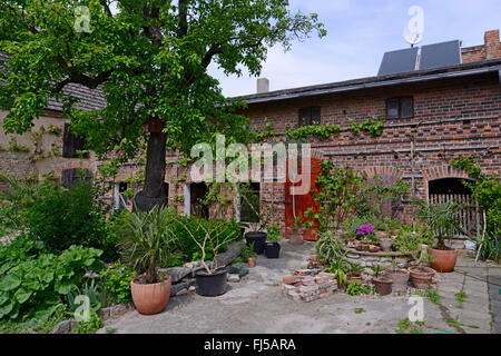 garden in the yard of an old farmhouse, Germany, Saxony-Anhalt, Osternienburger Land, Diebzig Stock Photo