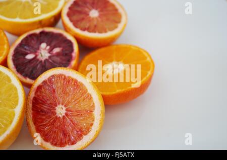 Colorful navel and blood oranges cut in half on a white plate Stock Photo