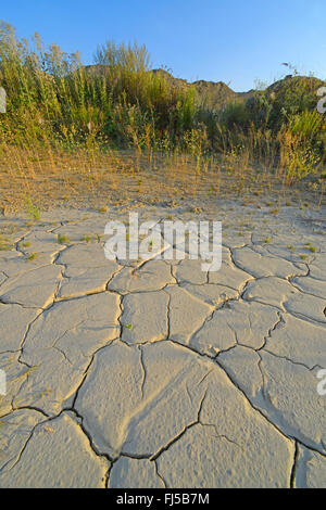 dried mud pond in lime quarry, Germany, Bergisches Land, Steinbruch Osterholz, Dornap, Wuppertal Stock Photo