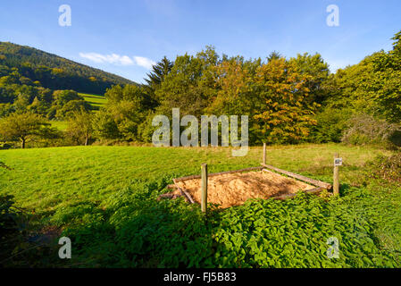 Aesculapian snake (Elaphe longissima, Zamenis longissimus), nesting aid for Aesculapian snakes, Germany, Odenwald, Hirschhorn am Neckar Stock Photo