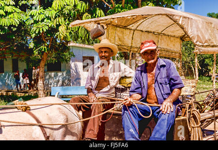 two men on horse buggie, Cuba, Australia Stock Photo