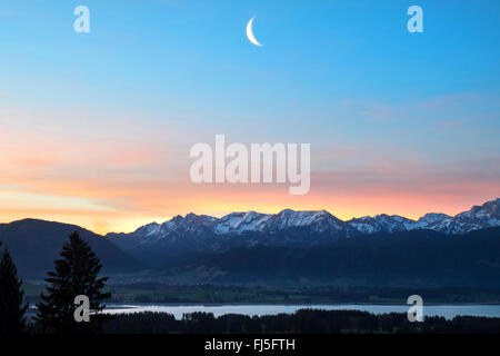 sickle moon above Ammergau Alps and Forggensee lake in the morning, Germany, Bavaria, Oberbayern, Upper Bavaria, Allgaeu Stock Photo