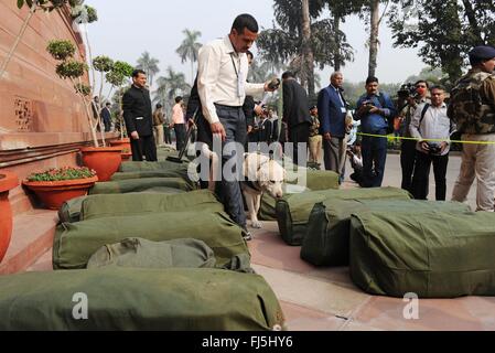 New Delhi, India. 29th Feb, 2016. Bags containing the Indian Federal Budget are checked by a bomb sniffing dog as they are delivered for legislators at Parliament House February 29, 2016 in New Delhi, India. Stock Photo