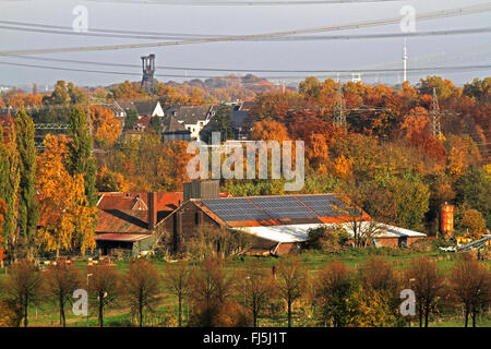 power lines and farmhouse with solar roof in autumn, Germany, North Rhine-Westphalia, Ruhr Area Stock Photo