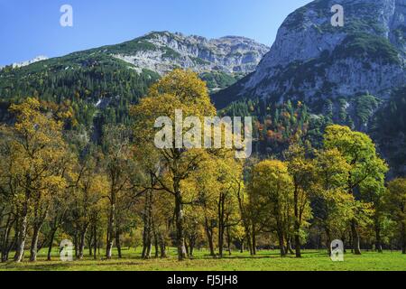 Grosser Ahornboden and Karwendel mountain range in autumn, Austria, Tyrol Stock Photo