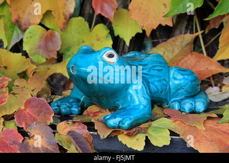 Virginia creeper, woodbine (Parthenocissus spec.), frog sculpture on woodbine leaves in autumn, Germany Stock Photo