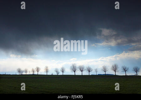 approaching thunderstorm over field scenery and alley, Germany, Saxony, Jocketa Stock Photo