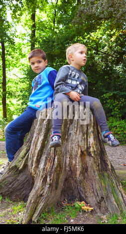 two brothers sitting in a forest together on a tree stump, Germany Stock Photo