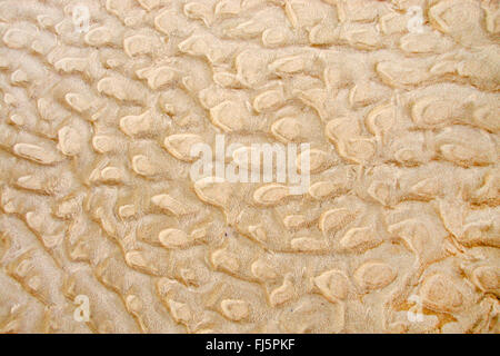 sand structures, section, Denmark Stock Photo