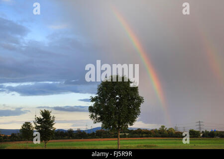 rainbow over cultural landscape, Germany, Baden-Wuerttemberg Stock Photo