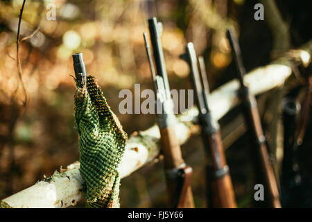 German and Soviet russian rifles of World War II in forest camp reenactors. Stock Photo