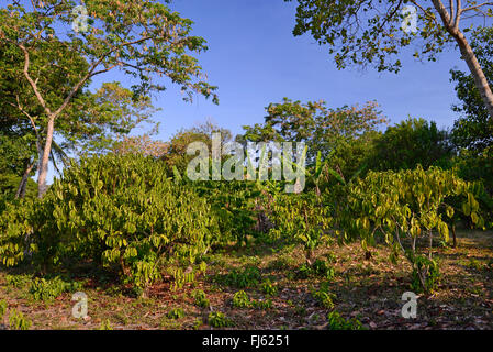 Ugledarda jinsiy aloqa Shartnoma nemis porno jinsiy etuk lezbiyenler gumbaz