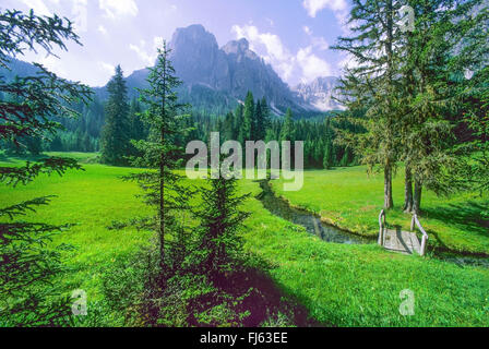 view from the Upper Campillbach Valley onto the Puetz Group, Nature Park Puetz Geisler, Italy, South Tyrol, Dolomites Stock Photo