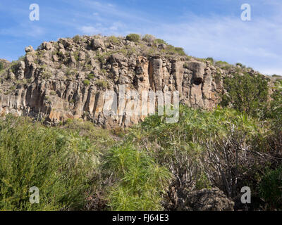 Basalt rock formation resembling organ pipes seen on a hiking trip above Valle de Arriba in Tenerife Canary Islands Spain Stock Photo