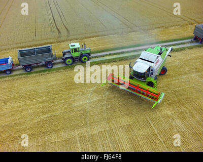 mowing-machine harvesting a wheat field, 23.07.2015, aerial view , Germany, Baden-Wuerttemberg, Odenwald Stock Photo