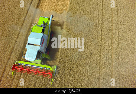 mowing-machine harvesting a wheat field, 23.07.2015, aerial view , Germany, Baden-Wuerttemberg, Odenwald Stock Photo