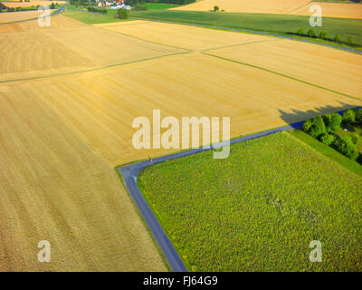 harvested wheat field and flower meadow, air photo, 23.07.2015, aerial view , Germany, Baden-Wuerttemberg, Odenwald Stock Photo