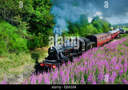 class 2MT Ivatt 2-6-0 steam locomotive 46512 strathspey steam railway, United Kingdom, England, Broomhill Stock Photo