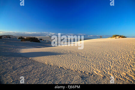 dunes near Corralejo, Canary Islands, Fuerteventura Stock Photo