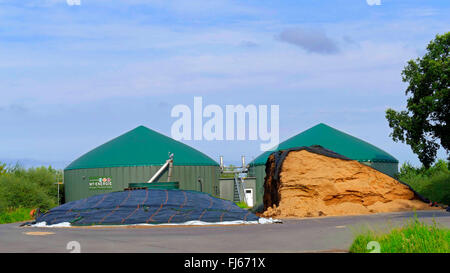 biogas plant with silage and biogas tanks, Germany, Lower Saxony, Osterholz Stock Photo