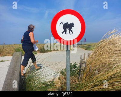 'no admission for apes' prohibition sign at path to the beach, Netherlands, Nordwijk Stock Photo
