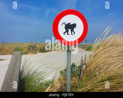'no admission for apes' prohibition sign at path to the beach, Netherlands, Nordwijk Stock Photo