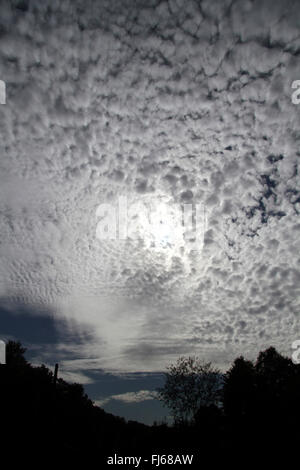 Altocumulus stratiformis translucidus, Germany Stock Photo