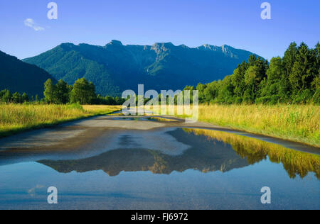 Hohe Kisten and Ammer Mountains mirroring in a puddle, Germany, Bavaria, Oberbayern, Upper Bavaria, Murnauer Moos Stock Photo