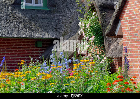 thatched-roof house with colourful blooming garden, Germany, Schleswig-Holstein, Northern Frisia, Sankt Peter-Ording Stock Photo