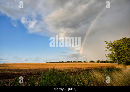 rainbow over harvested field, Germany, North Rhine-Westphalia, Ruhr Area, Bochum Stock Photo