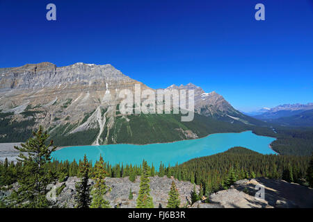 Peyto Lake at Banff NP in Alberta, Canada Stock Photo - Alamy