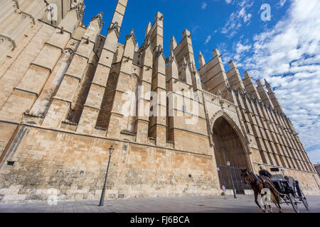 Cathedral of Palma de Majorca and carriage Stock Photo