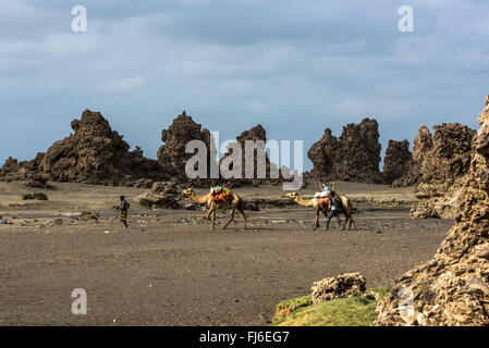 Desert landscape, Djibouti Stock Photo - Alamy